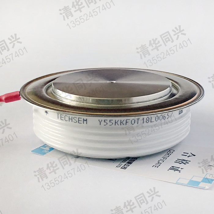 Y55KKF0T18L00657 TECHSEM湖北台基 销售电话：13552457401